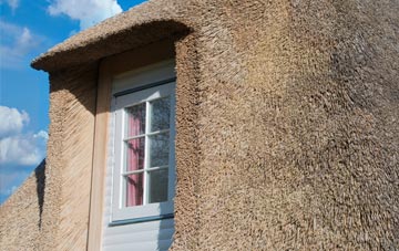 Tirryside thatch roof disadvantages